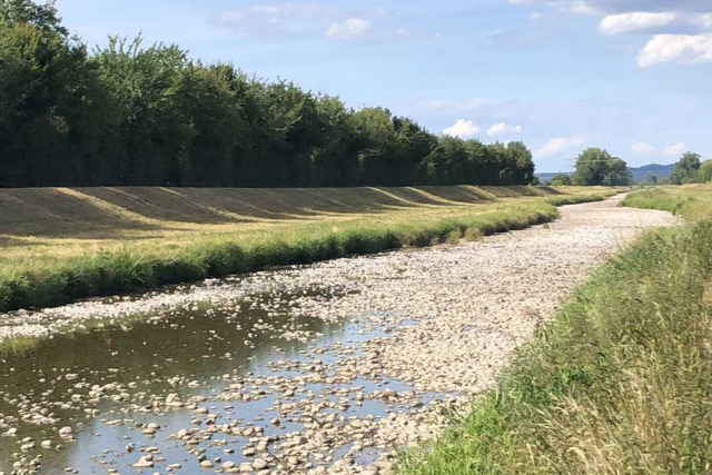 Dreisam bei Freiburg, ausgetrocknet