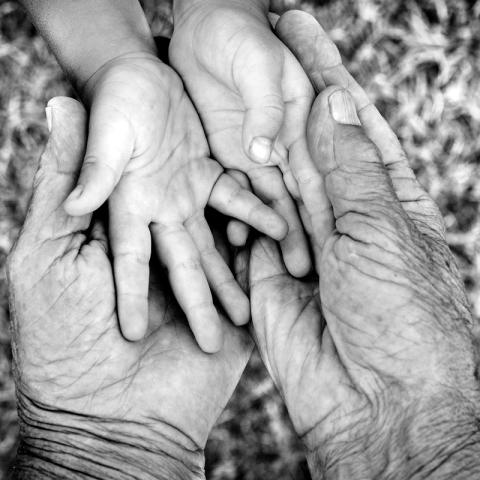 Young and old hands