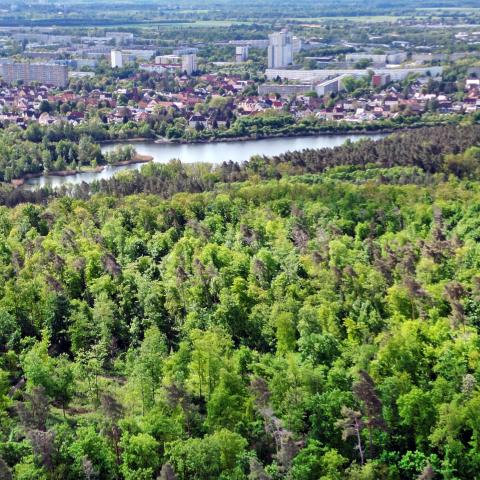 Luftaufnahme der Stadt Halle an der Saale mit Blick auf Nietleben und Halle-Neustadt